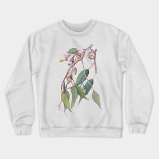 Australian native eucalyptus tree branch watercolour Crewneck Sweatshirt